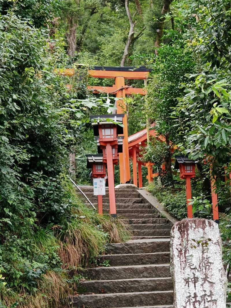 Arashiyama Monkey Park