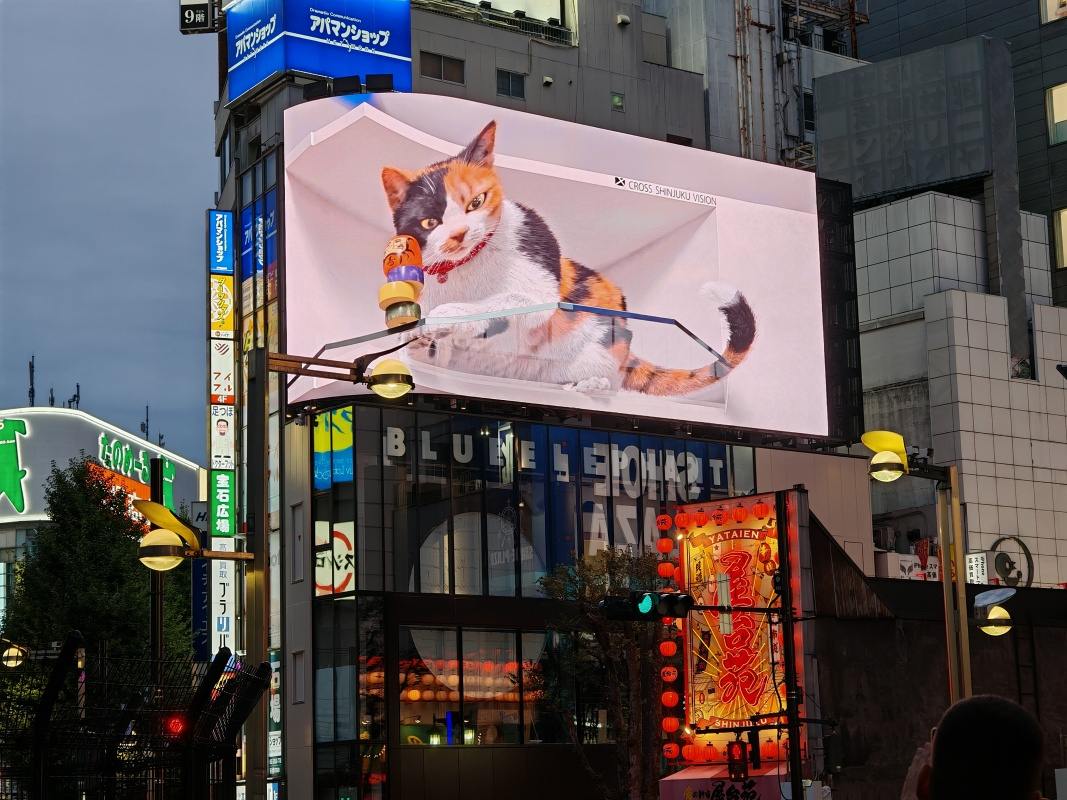 Shinjuku a 3D mačka