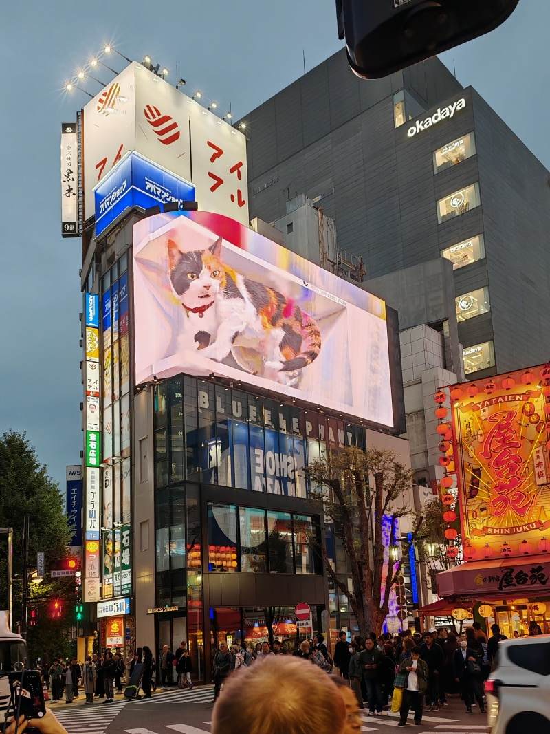 3D mačka na Shinjuku