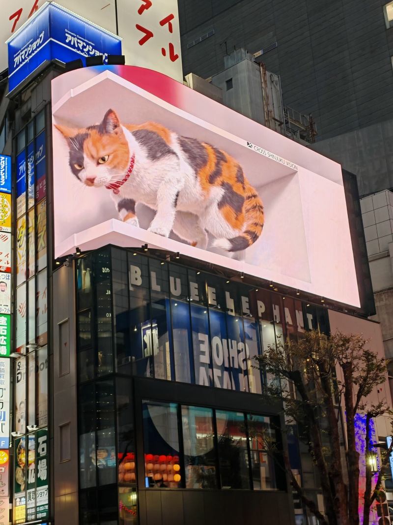3D mačka na Shinjuku