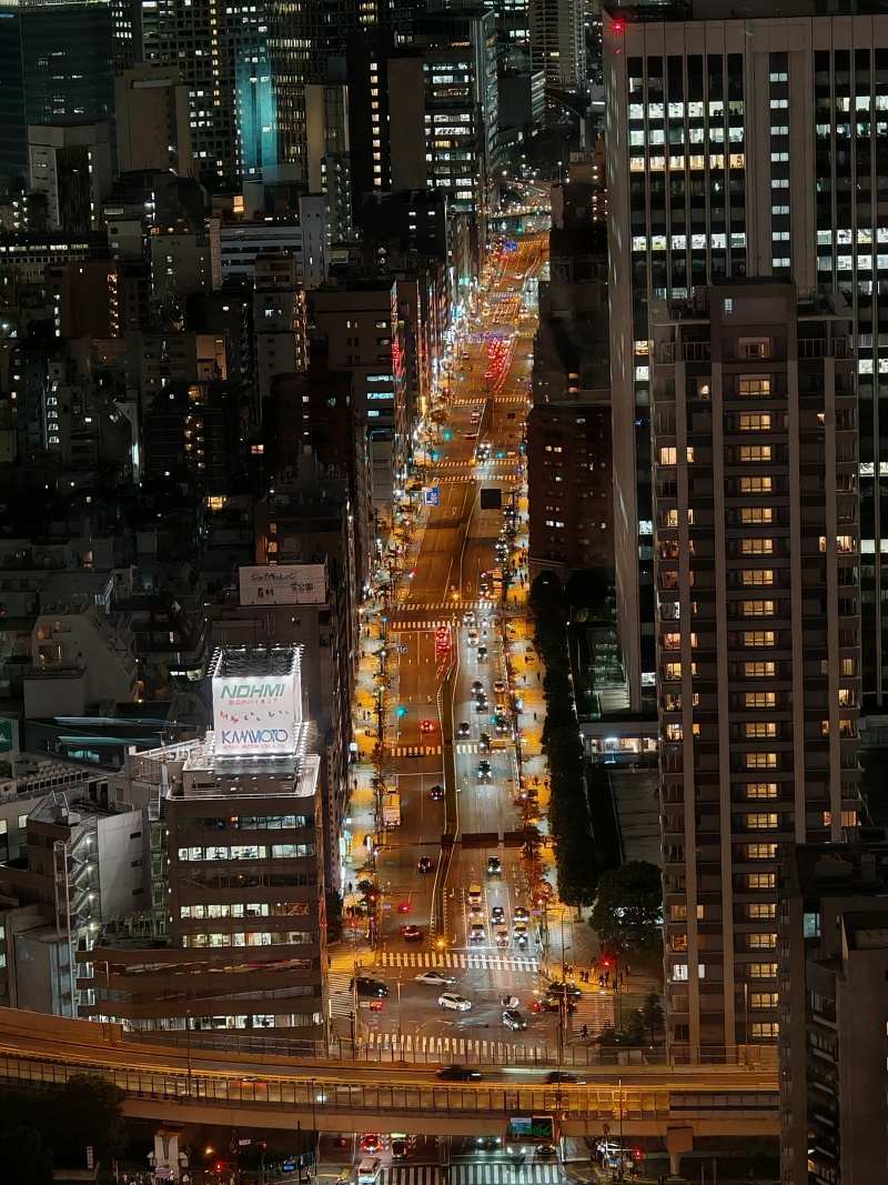 Tokio Tower, výhľad z 150m vyhliadky