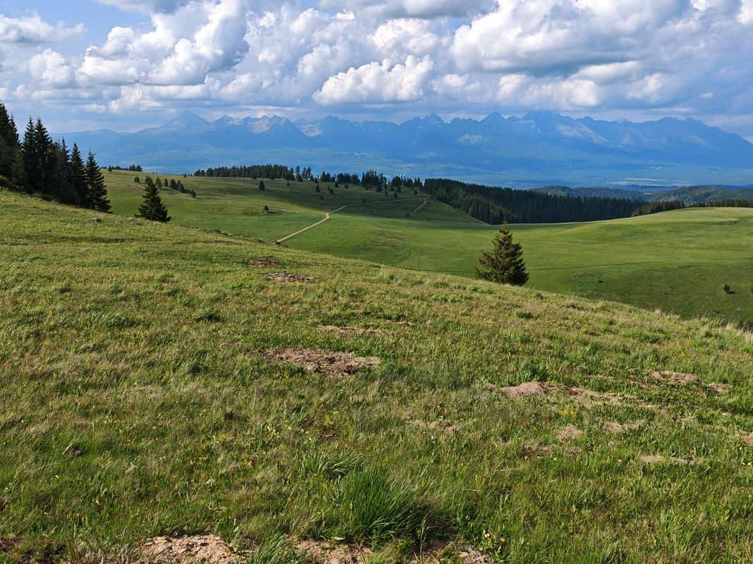 Vysoké Tatry