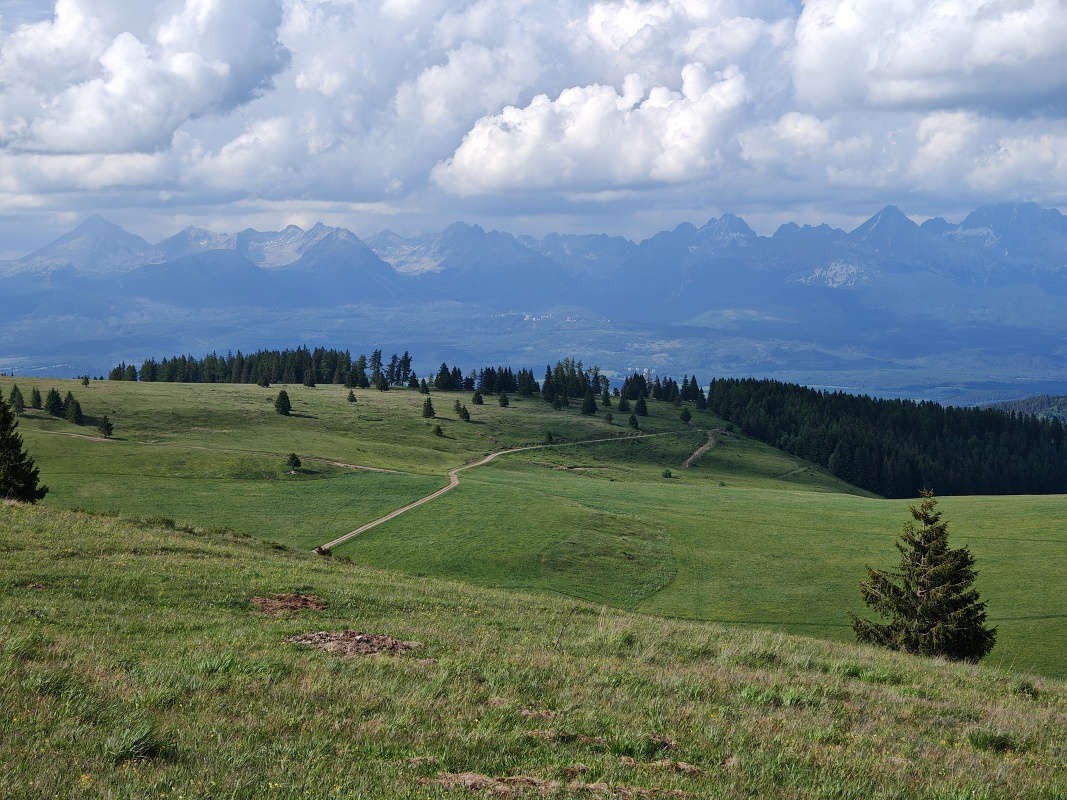 Vysoké Tatry