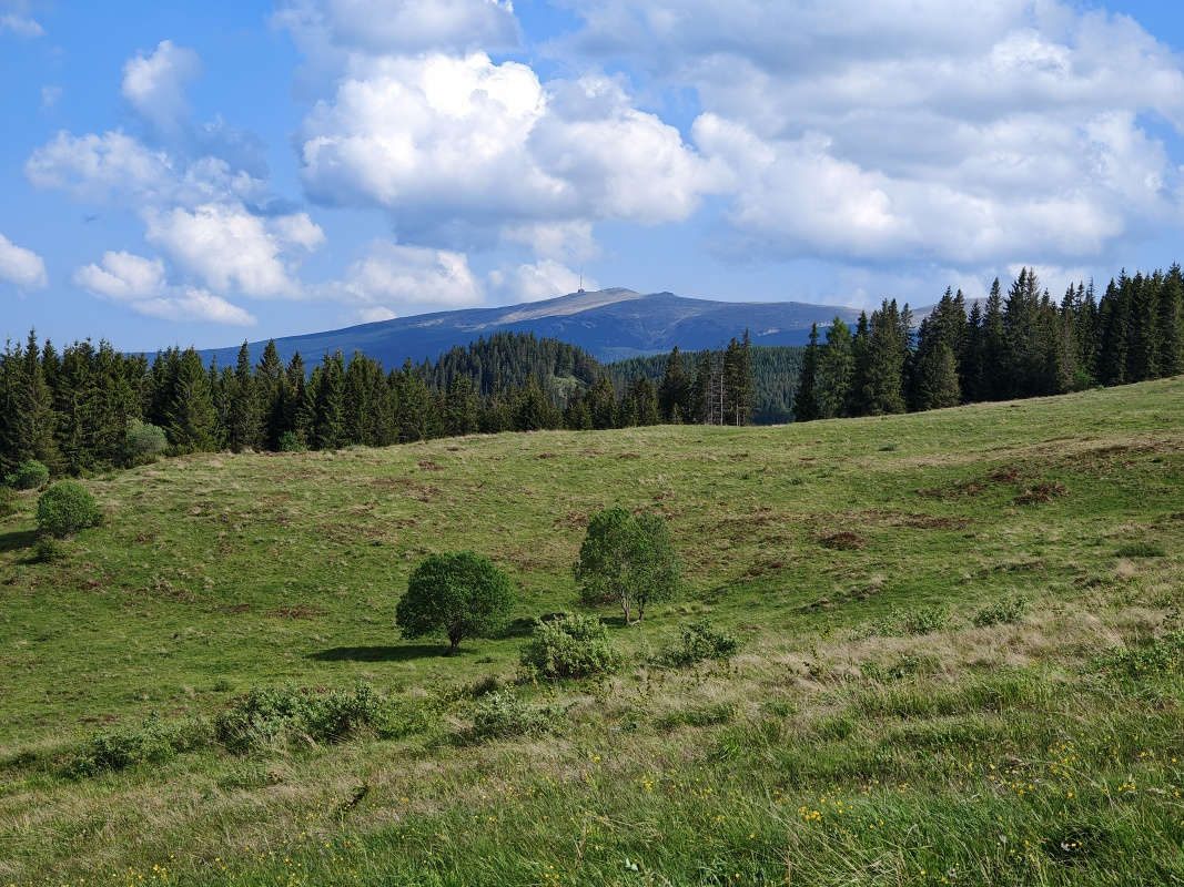 Kráľova Hoľa