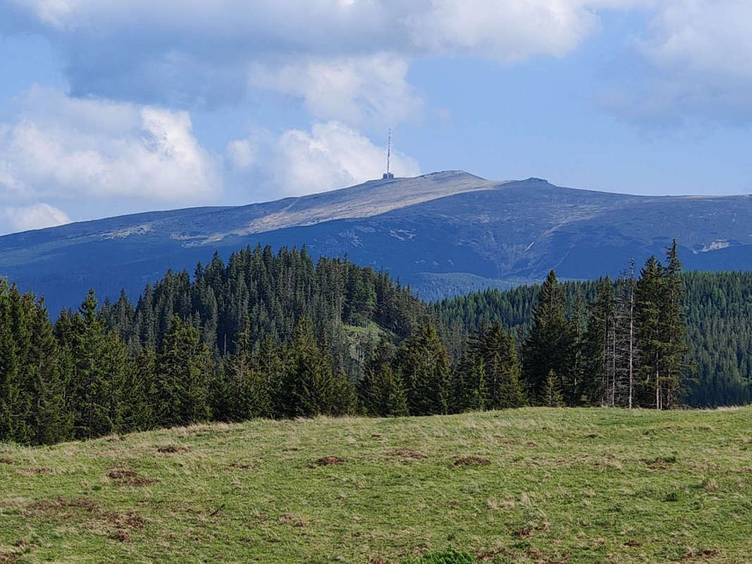 Kráľova Hoľa