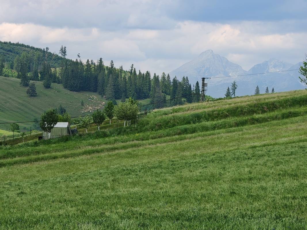 Rozprávka - Tatry a ovečky