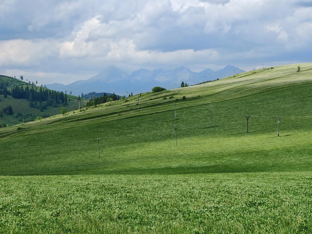 Vysoké Tatry