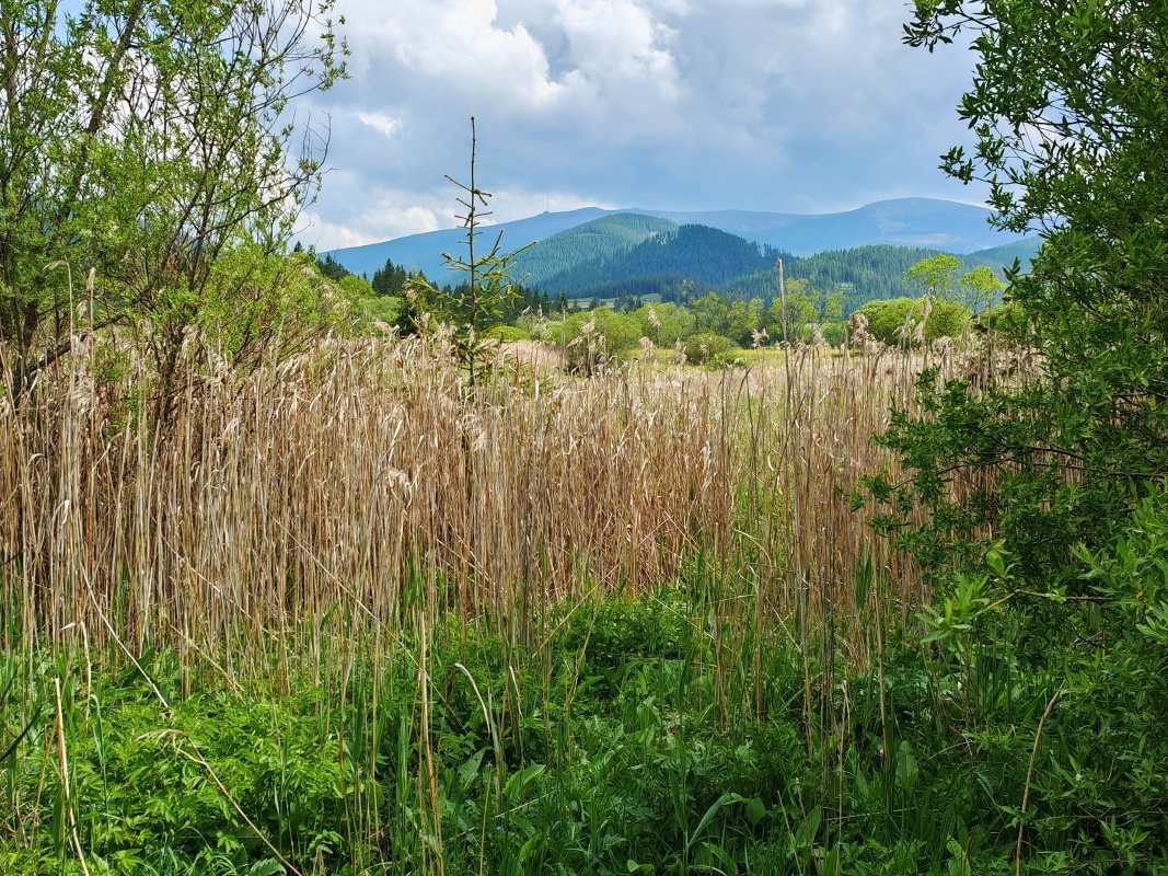 Náučný chodník - mokrade