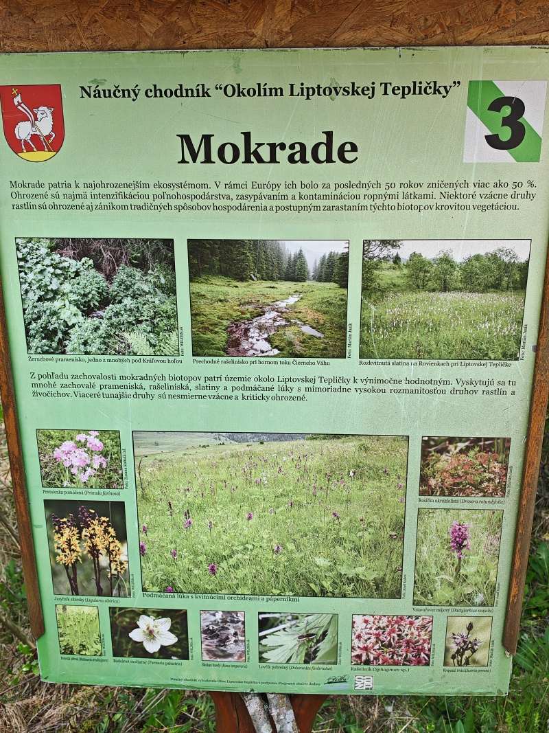 Náučný chodník - mokrade boli najkrajšie