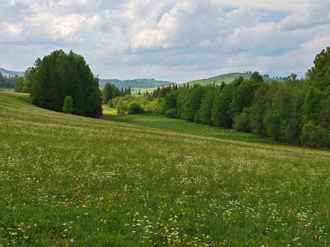 Náučný chodník - lúky a lesy