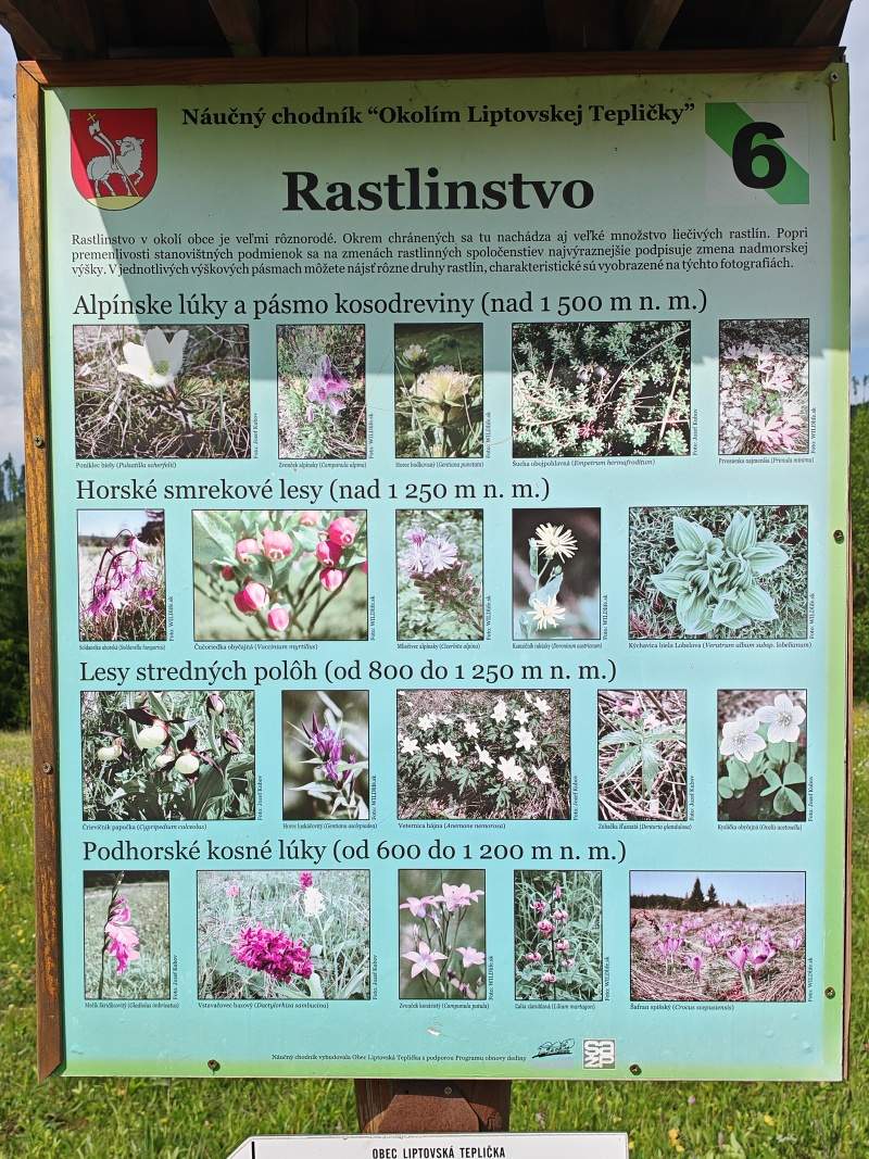 Náučný chodník - rastlinstvo