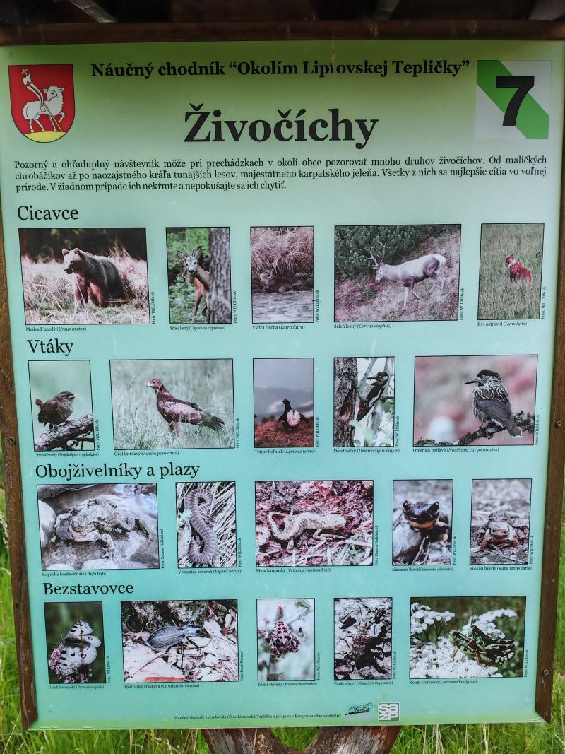 Náučný chodník - živočíchy sme našťastie nestretli :)