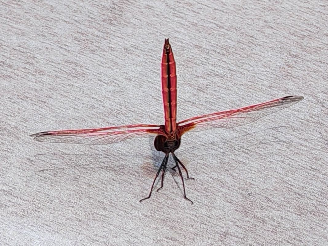 Námestie nezávislosti