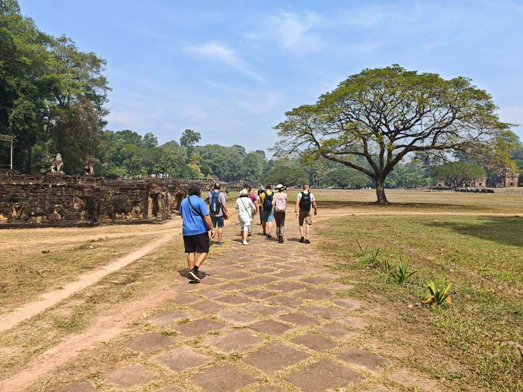 Pláň pod Terasou slonov