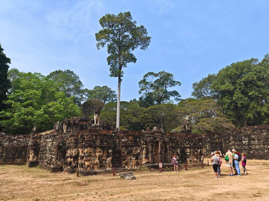 Terasa kráľa Lepera