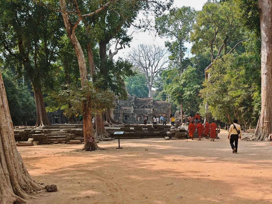 Ta Prohm v diaľke