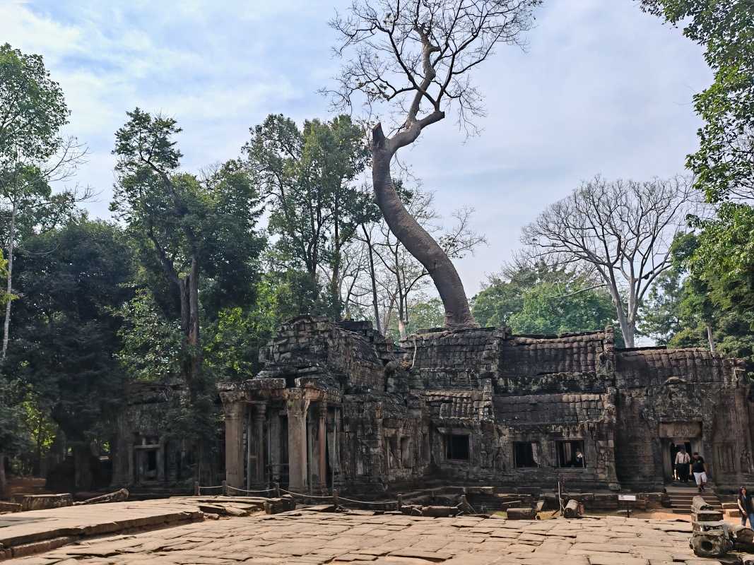 Ta Prohm