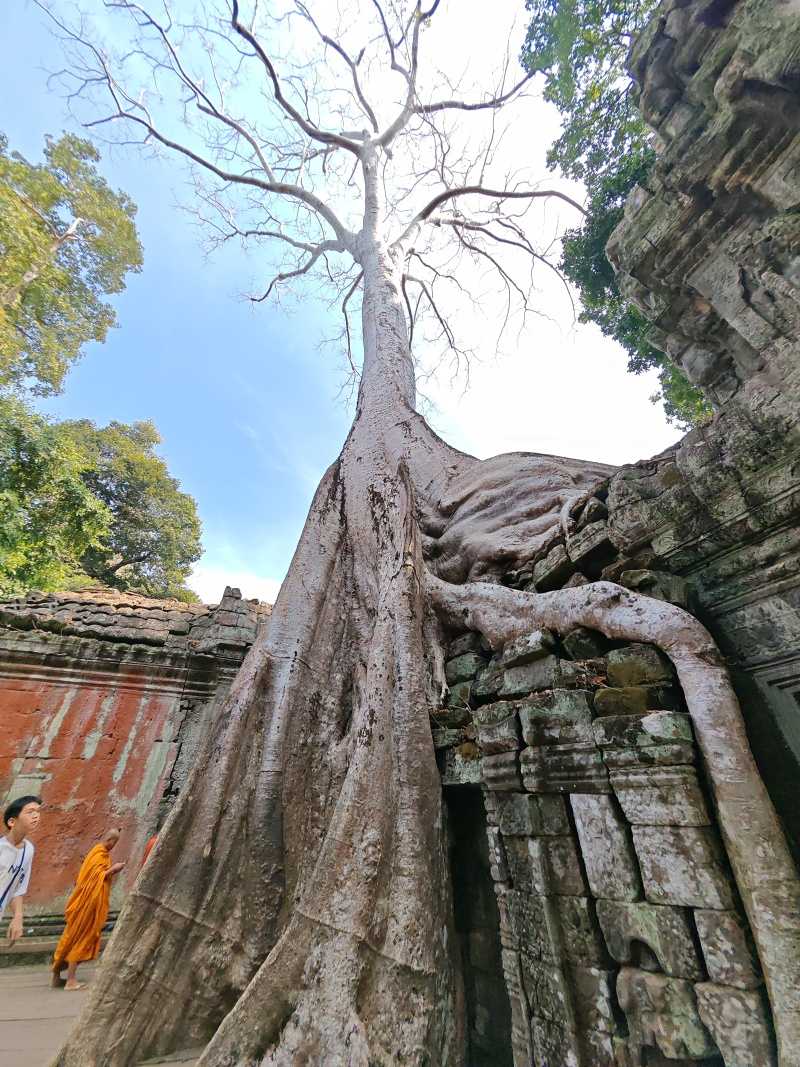 Ta Prohm