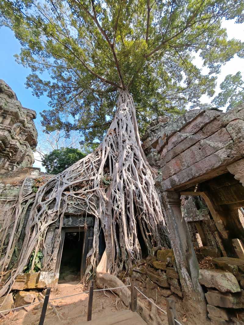 Ta Prohm