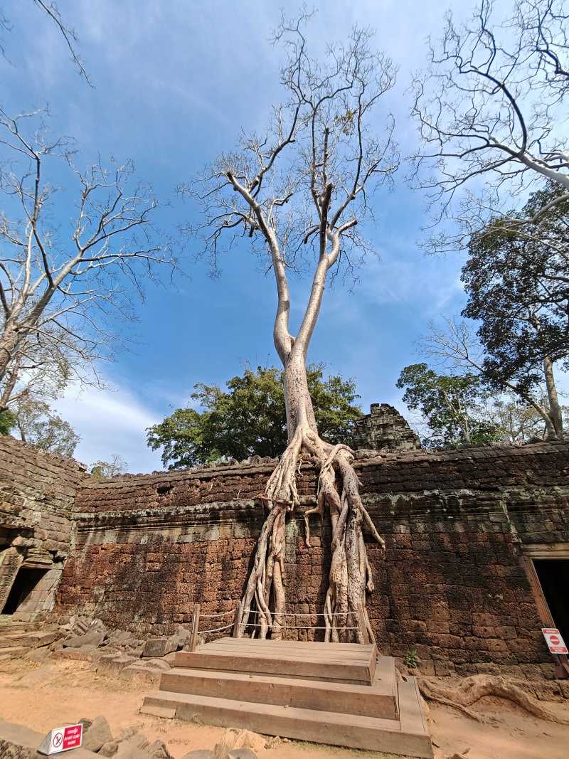 Ta Prohm