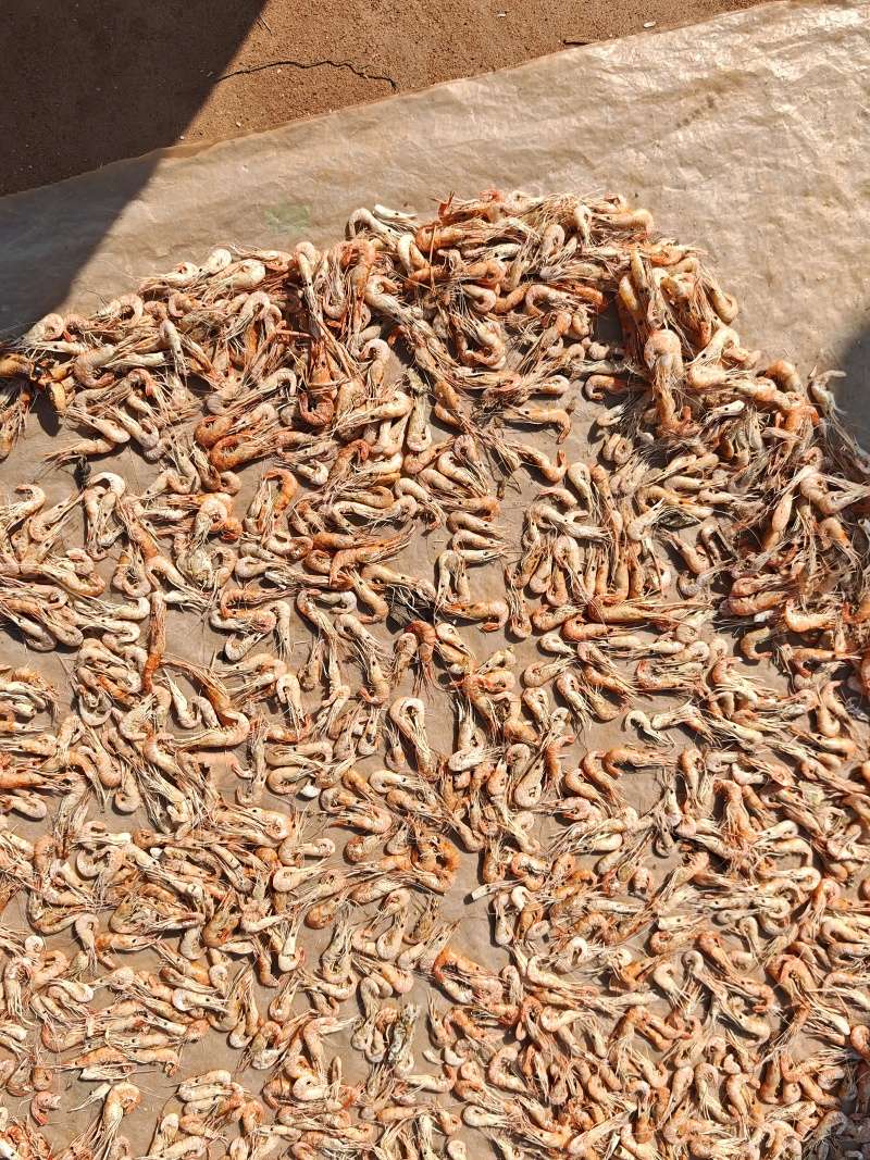 Kampong Phluk - sušenie morských príšer na korenie
