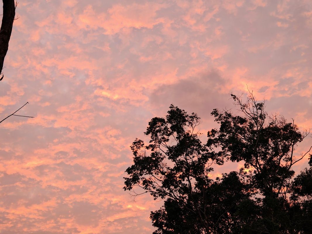 Cestou na večeru je nádherné nebo