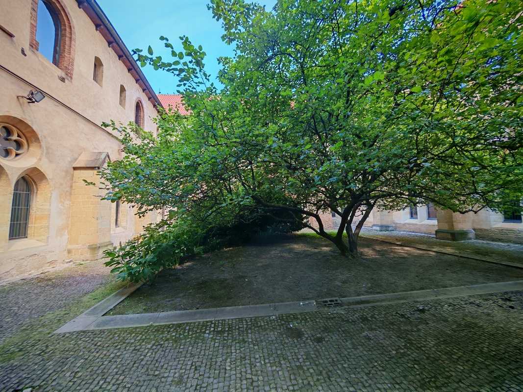 Kláštor sv. Anežky Českej, rajský dvor