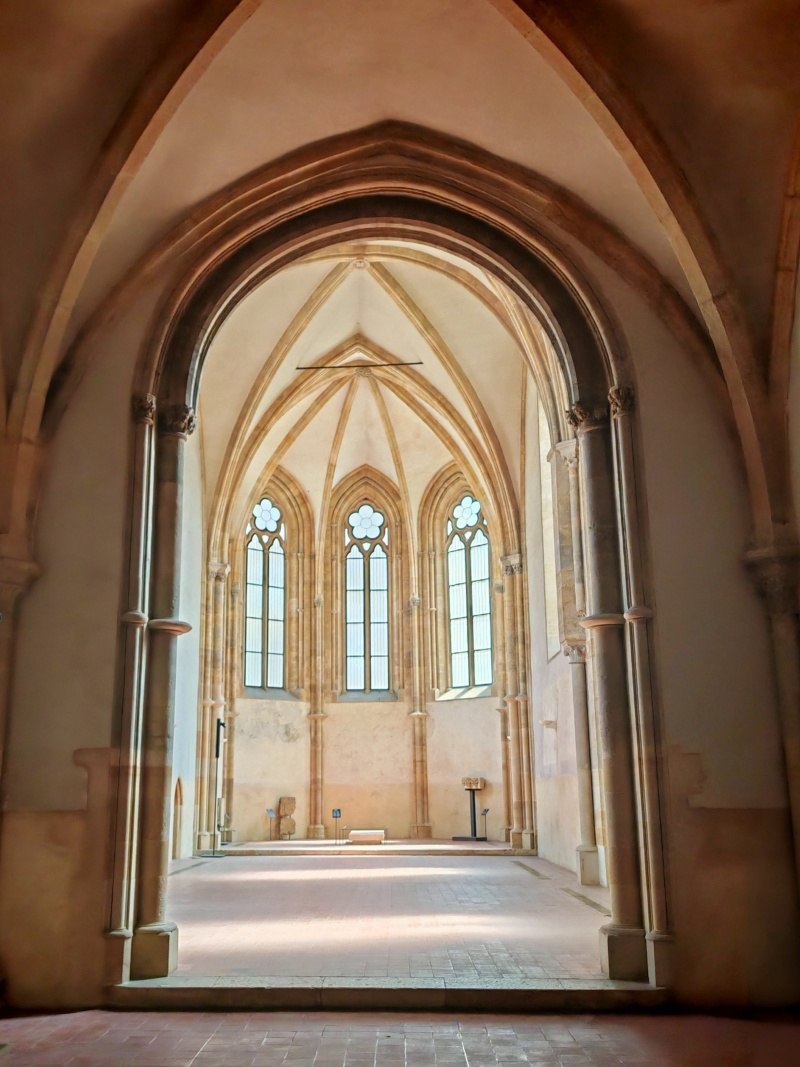 Kláštor sv. Anežky Českej, Kostol sv. Salvátora