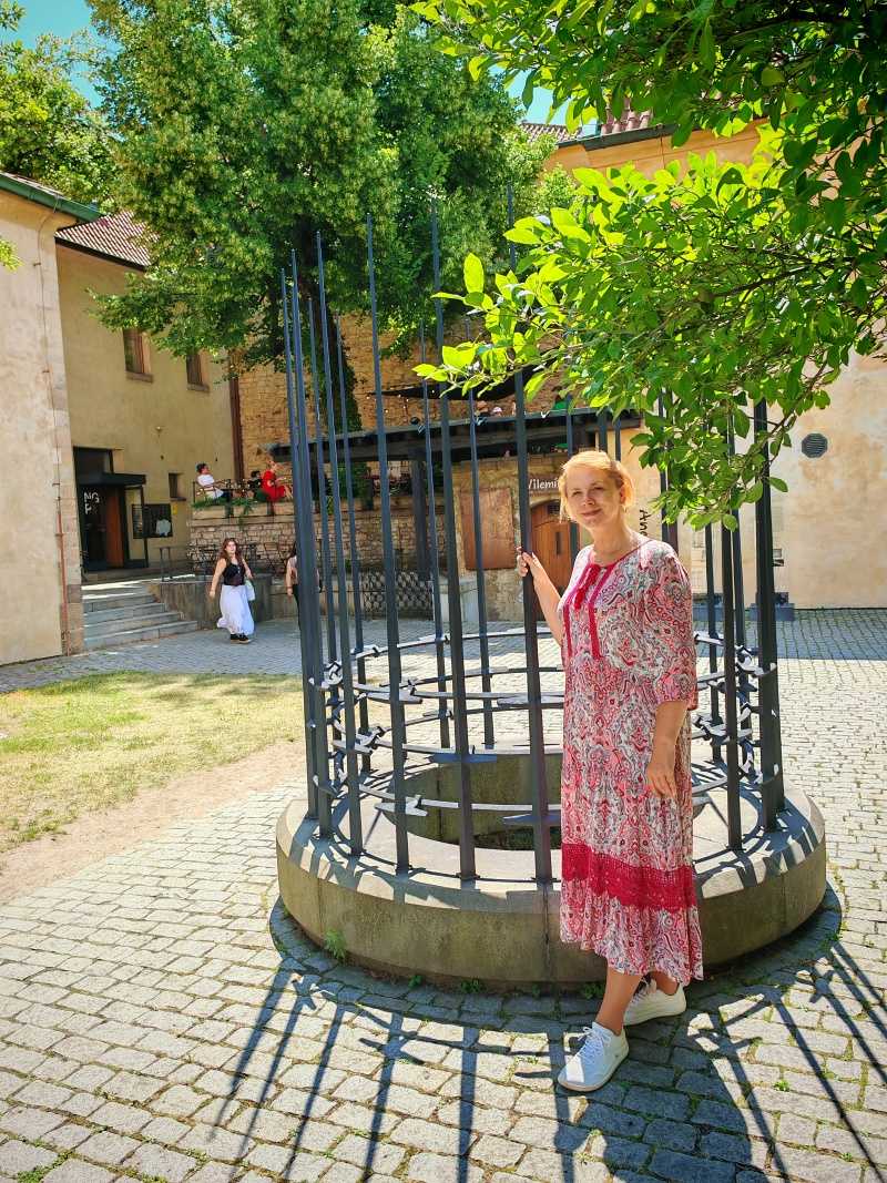 Kláštor sv. Anežky Českej, kláštorné záhrady