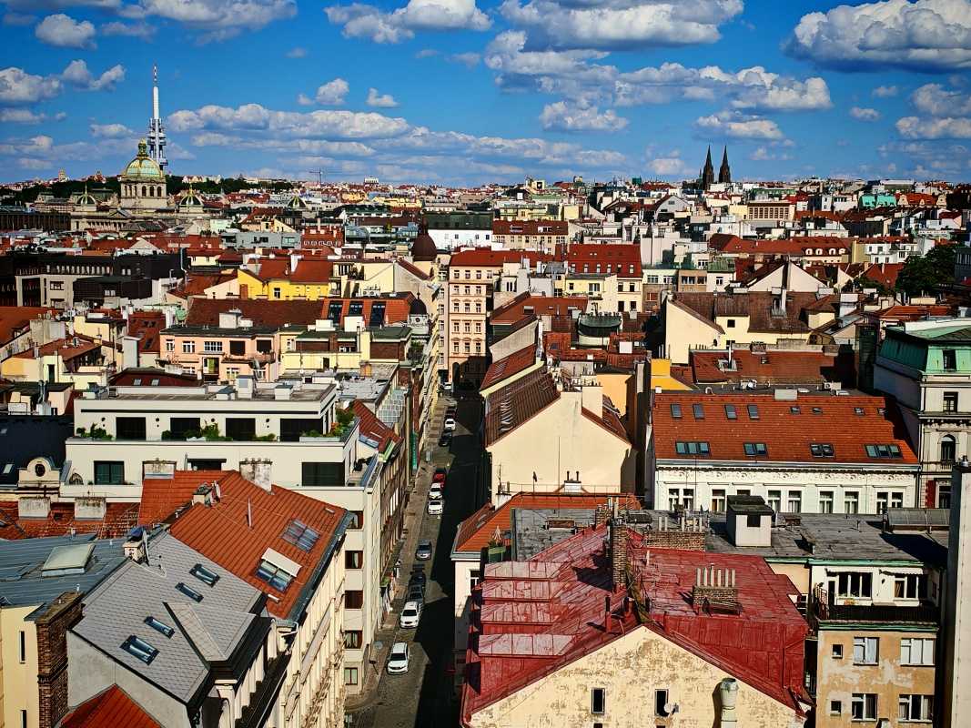 Veža Novomestskej radnice, Národní muzeum a Žižkovská veža