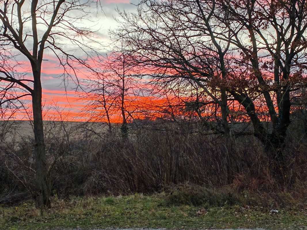 Ružové nebo na Štefana