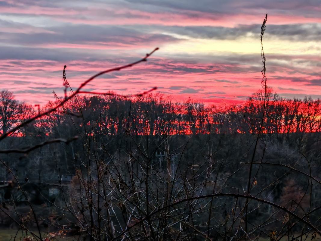 Ružové nebo na Štefana