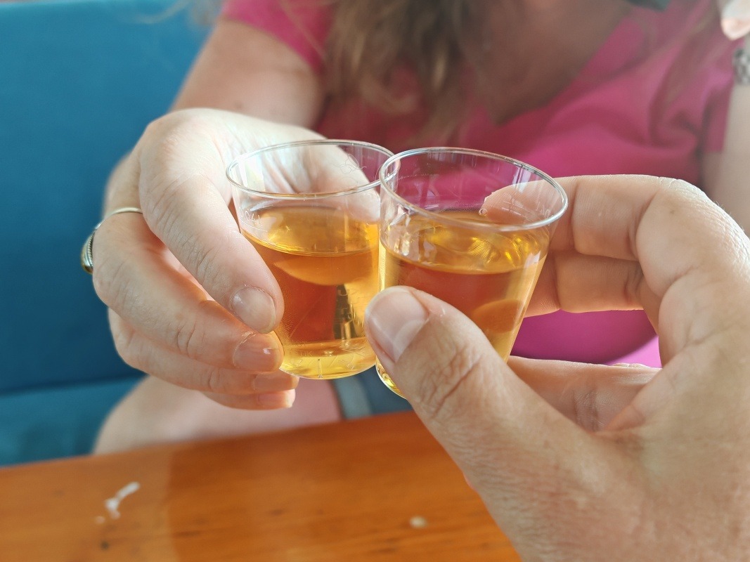 9:00, welcome drink - rakija :D