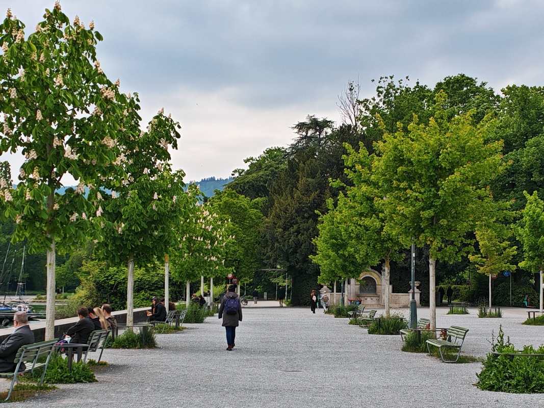 Po ceste k skleníkom ...