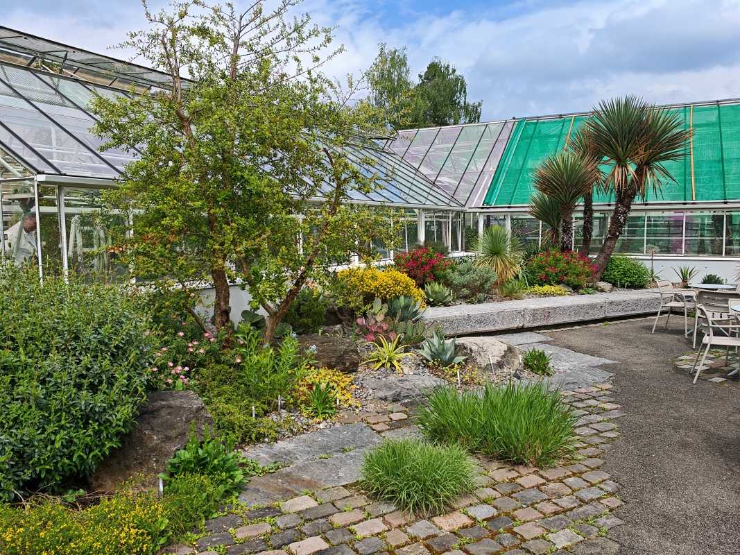 Skleníky so sukulentami