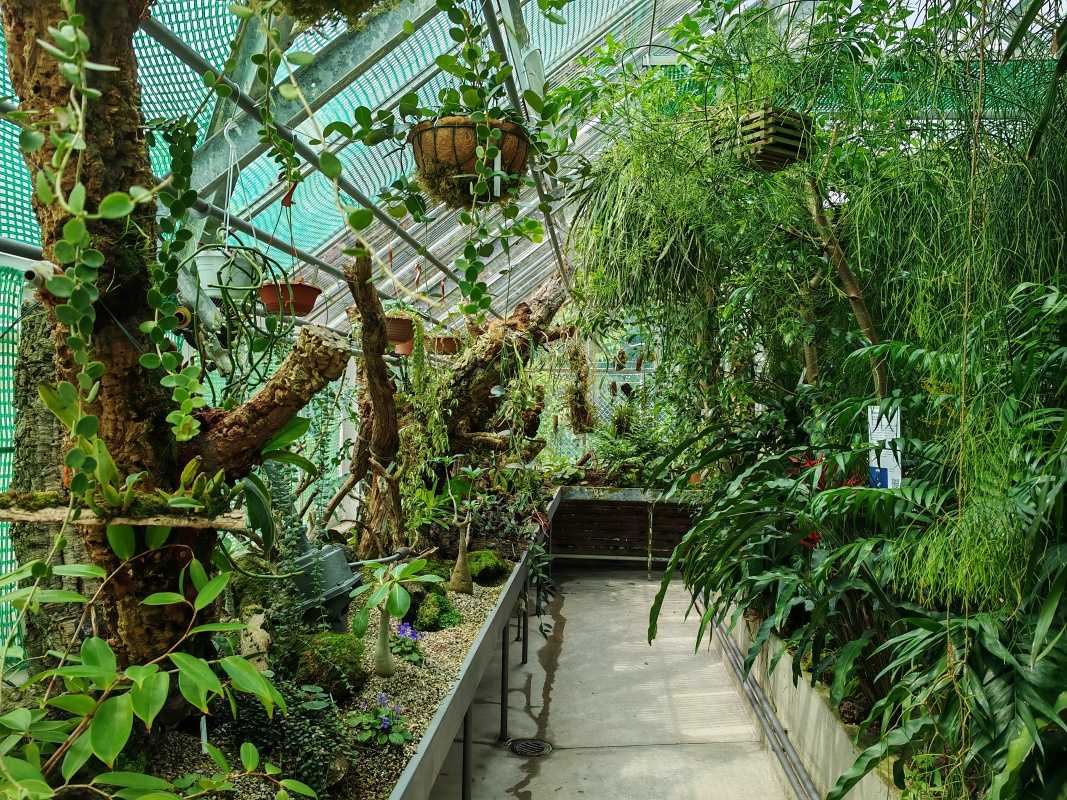 Skleníky so sukulentami