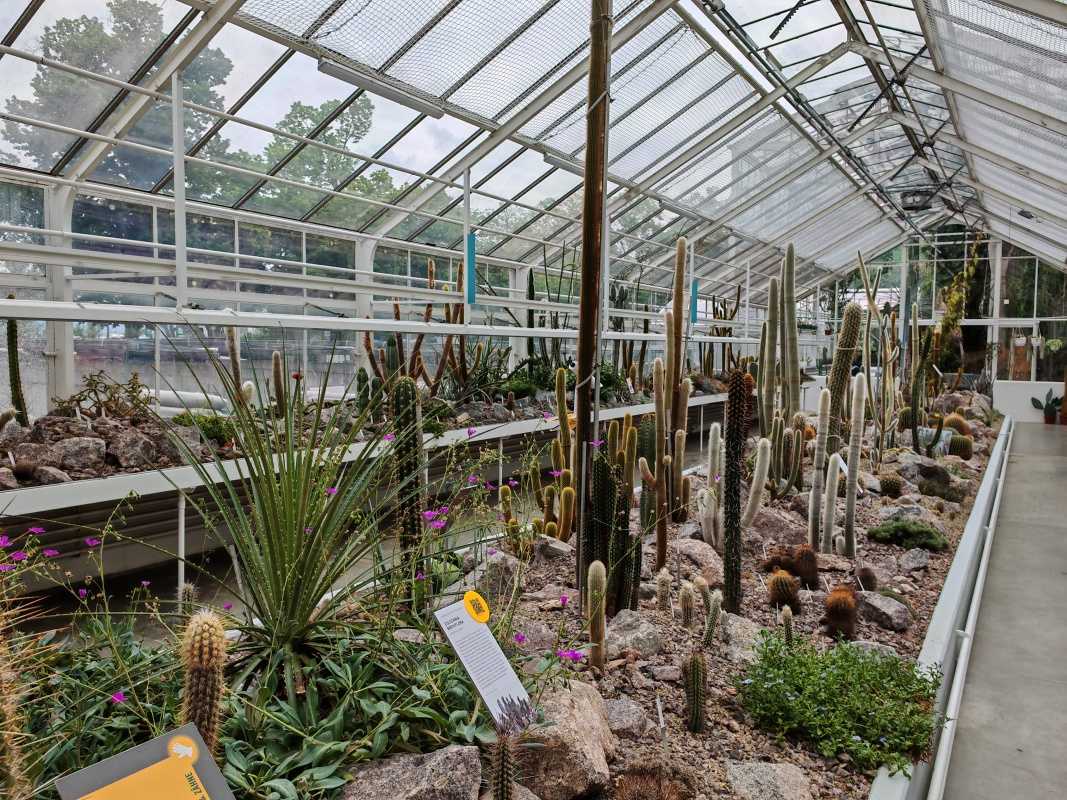 Skleníky so sukulentami