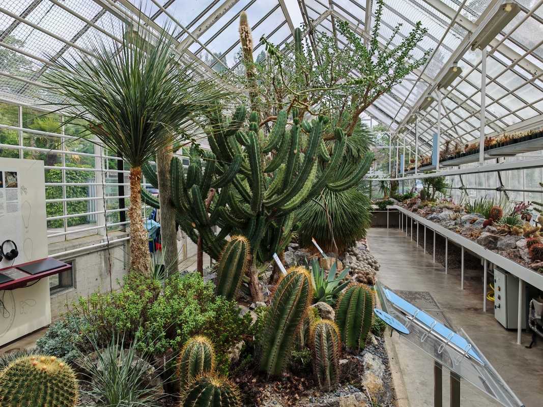 Skleníky so sukulentami