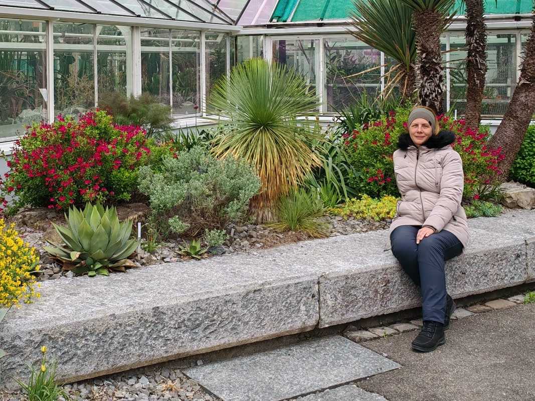 Skleníky so sukulentami