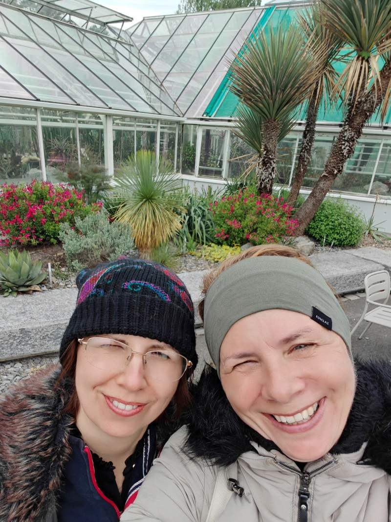 Skleníky so sukulentami