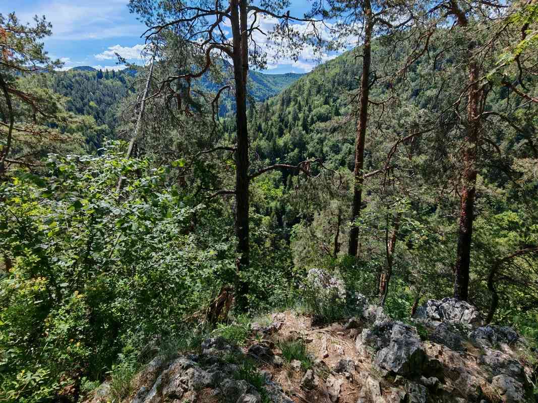 Tu sme si mysleli, že je Ihla aKazateľnica, ale nie je :)