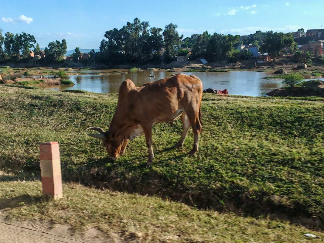 Antananarivo, z letiska na hotel