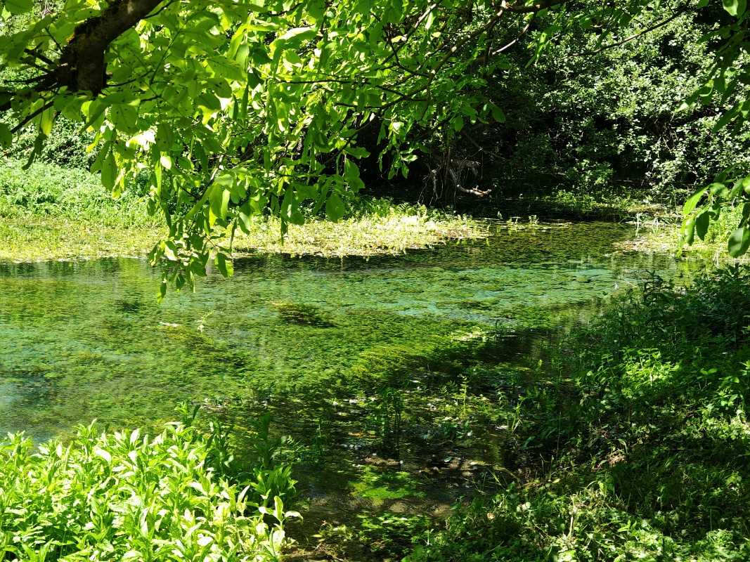 Čierny Drin