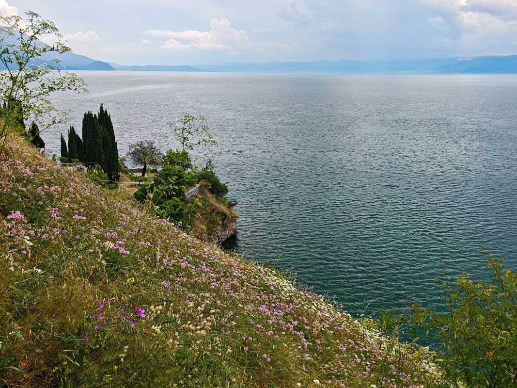Kvety a sv. Ján vKaneo za rohom