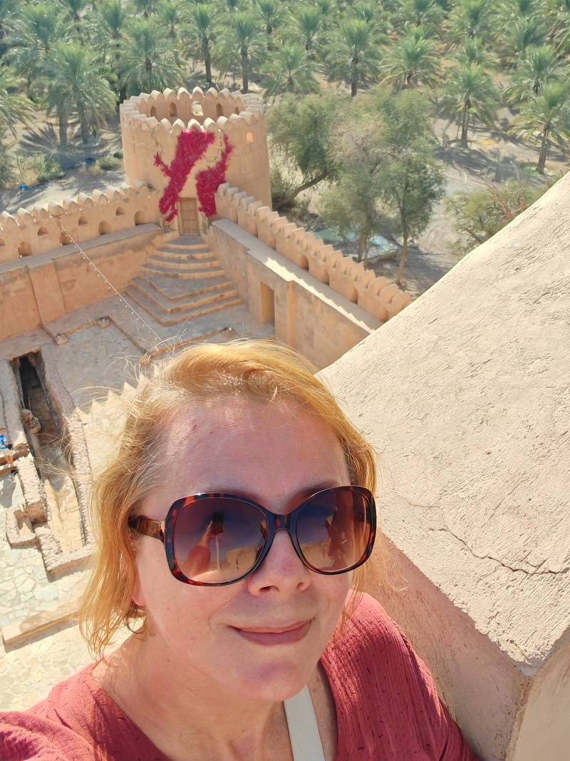 Jabreen Castle, strecha