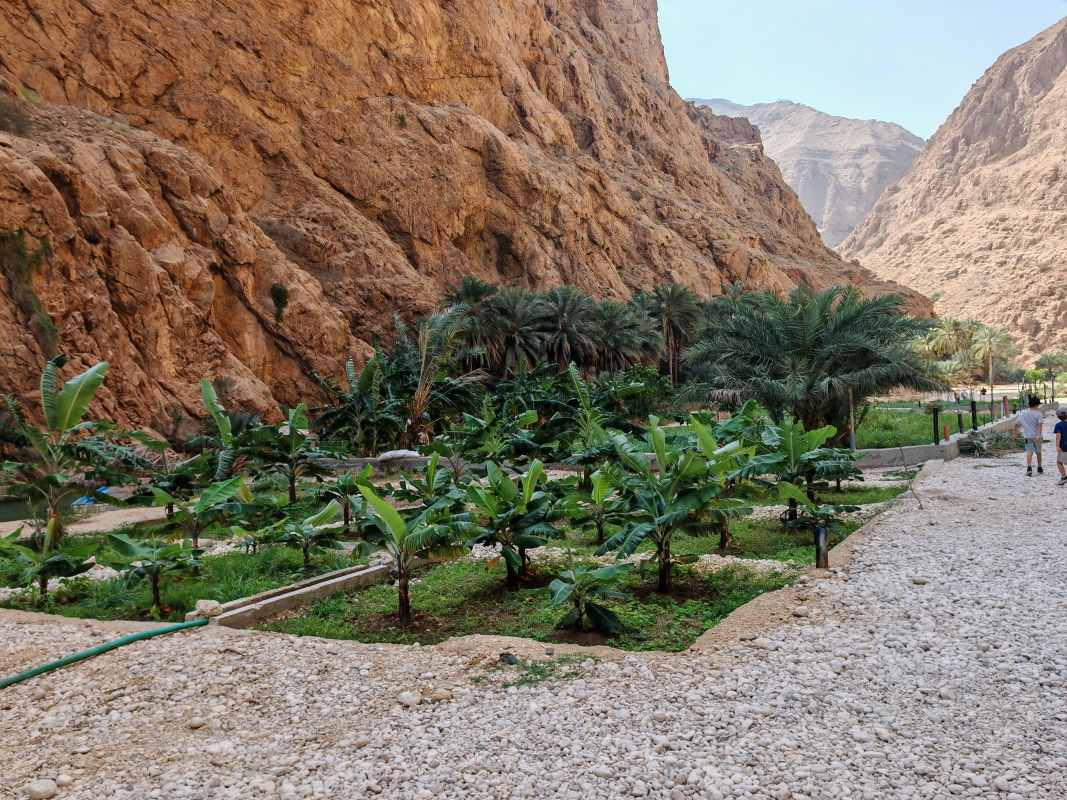 Wadi Shab