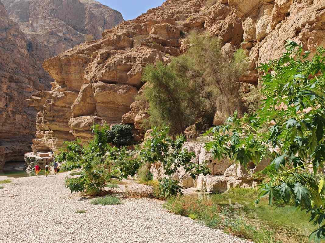 Wadi Shab