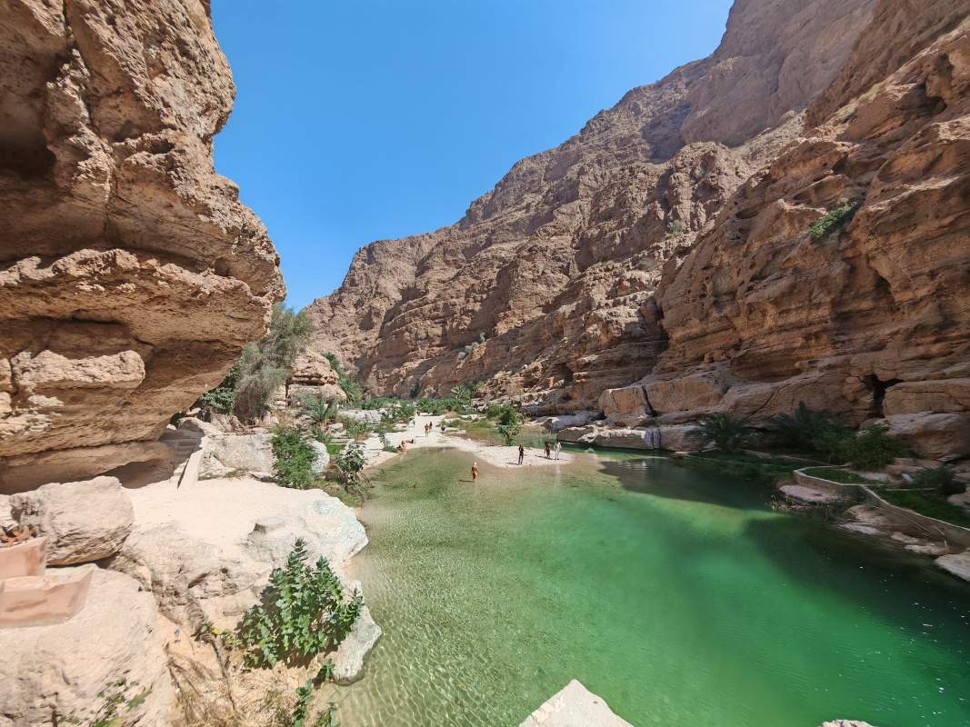 Wadi Shab, širokouflo