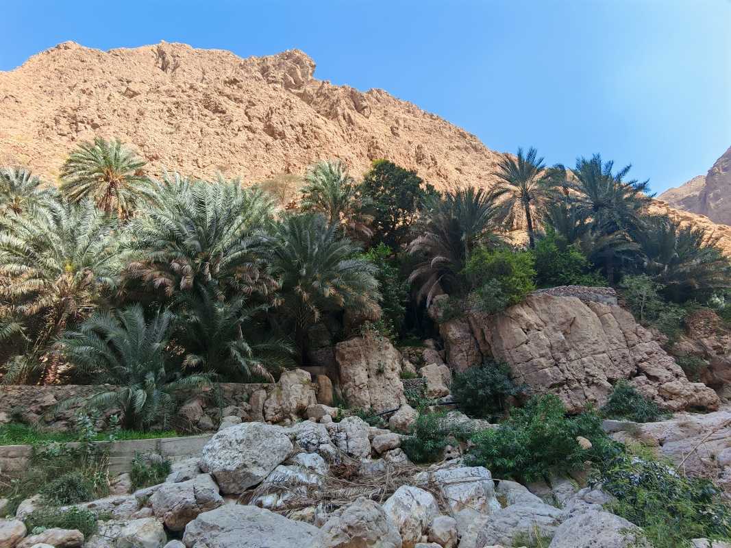 Wadi Shab