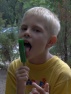 Miško